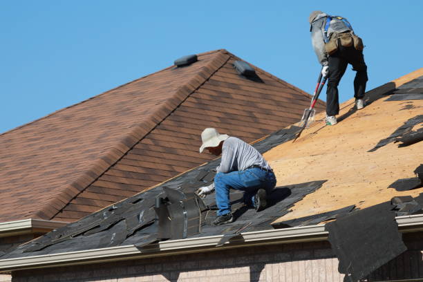 Best Chimney Flashing Repair  in Lake Hamilton, FL