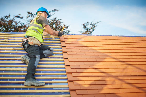 Best Commercial Roofing Services  in Lake Hamilton, FL